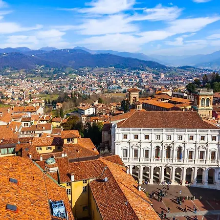 Golden Teal & Silver Birch Bergamo