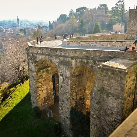 Golden Teal & Silver Birch 베르가모