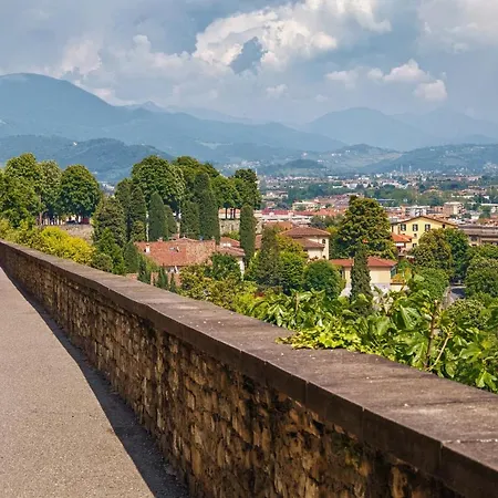 Golden Teal & Silver Birch דירה