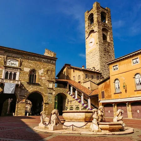 Golden Teal & Silver Birch *